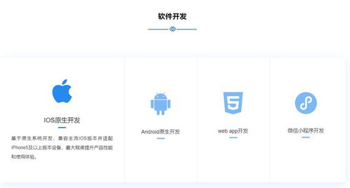 石家莊專業軟件開發