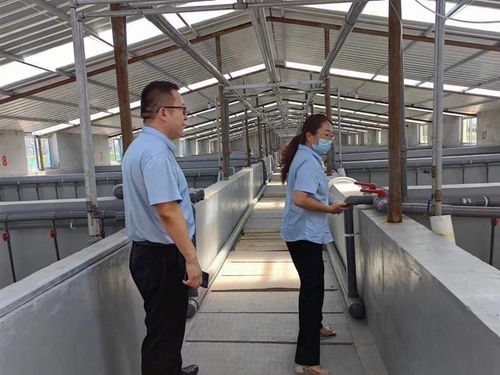 博興 審批加速跑 全力保障特色水產行業健康發展